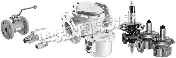 DUNGS是安全清潔氣體燃燒的同義詞，倡導與客戶緊密合作，