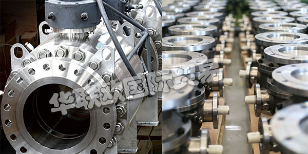 ALFA VALVOLE成立1971年于Casorezzo(米蘭)。在這里，意大利的第一批公司開(kāi)始專(zhuān)業(yè)生產(chǎn)高質(zhì)量的工業(yè)球閥。