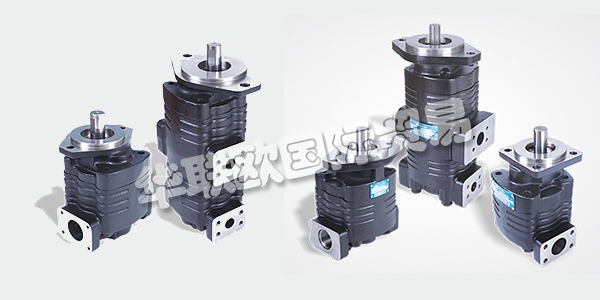 印度VELJAN主要產(chǎn)品：VELJAN齒輪泵、液壓閥等。VELJAN HYDRAIR LIMITED成立于1965年，是印度FLUID POWER公司的先驅(qū)，也是其獨(dú)立的領(lǐng)導(dǎo)者。