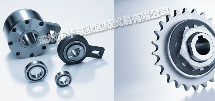 德國WALTHER FLENDER聯(lián)軸器WK-DN